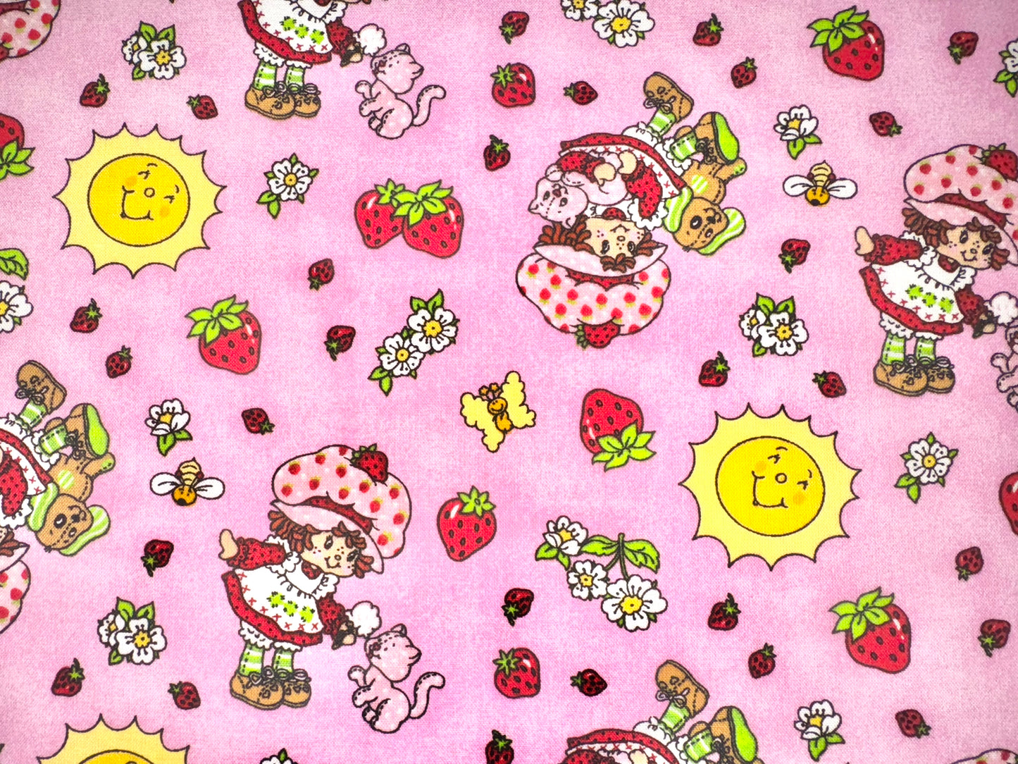 RARE 2011 Classic Strawberry Shortcake Licensed Fabric by Those Characters From Cleveland under Spectrix - 14.75x21”