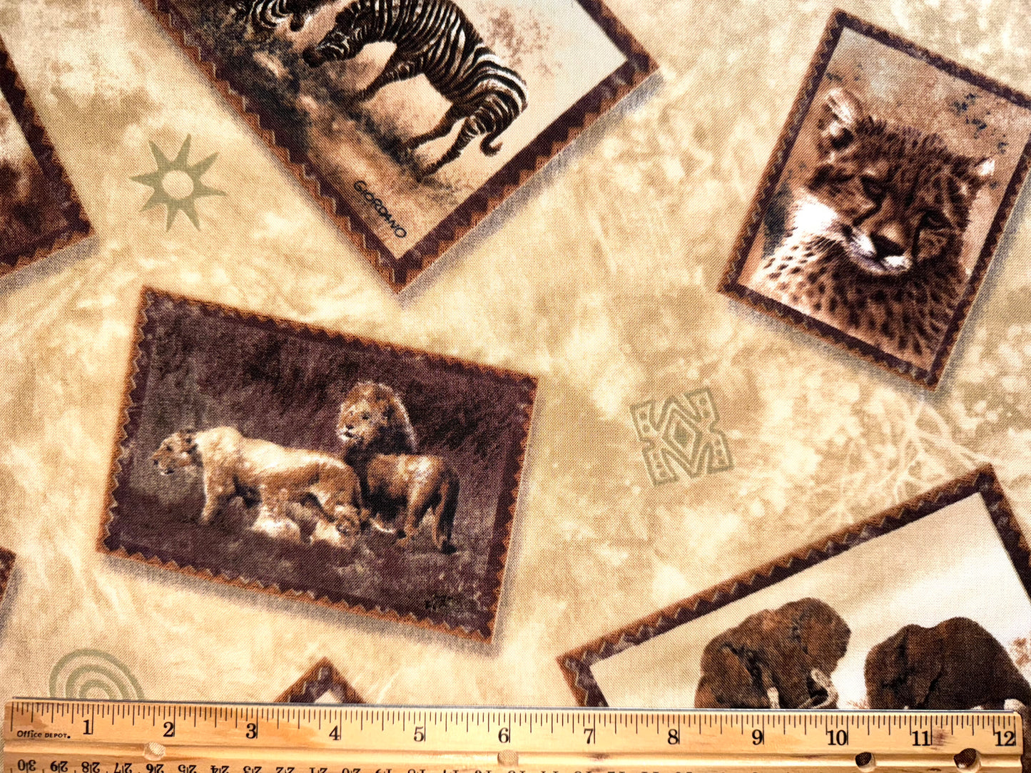 Safari Photo Fabric by Giordano Studios - Half Yard